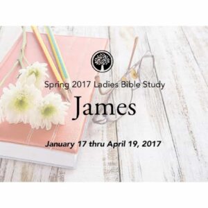 ladies bible study spring