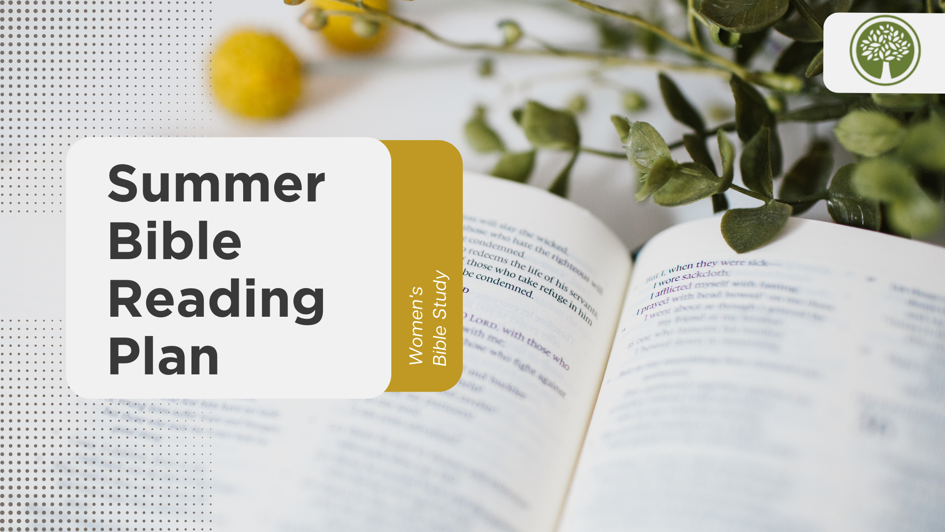 Summer Bible Reading Plan